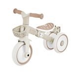 Tricycle Learning 2EN1