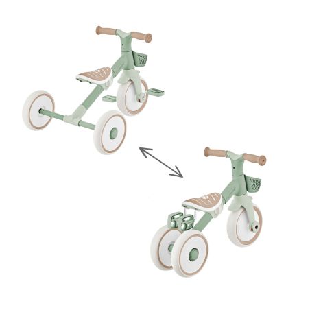 Tricycle Learning 2EN1 